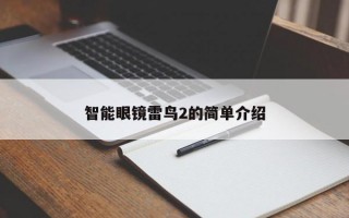 智能眼镜雷鸟2的简单介绍