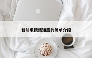 智能眼镜感知层的简单介绍