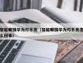 智能眼镜华为灯不亮（智能眼镜华为灯不亮怎么回事）