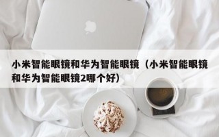 小米智能眼镜和华为智能眼镜（小米智能眼镜和华为智能眼镜2哪个好）