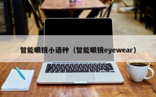 智能眼镜小语种（智能眼镜eyewear）